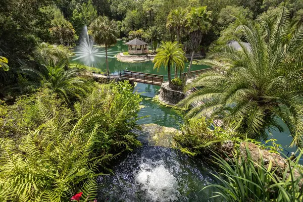 Williston, Florida 'daki Cedar Lakes Ormanı ve Bahçeleri, ABD