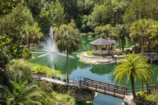 Williston, Florida 'daki Cedar Lakes Ormanı ve Bahçeleri, ABD