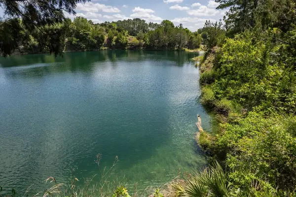 Williston, Florida 'daki Cedar Lakes Ormanı ve Bahçeleri, ABD