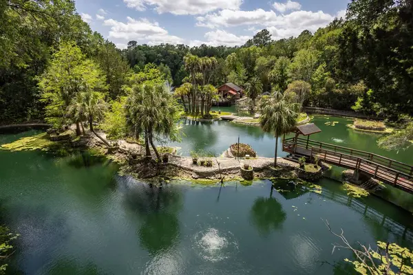 Williston, Florida 'daki Cedar Lakes Ormanı ve Bahçeleri, ABD