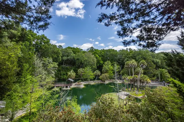 Williston, Florida 'daki Cedar Lakes Ormanı ve Bahçeleri, ABD