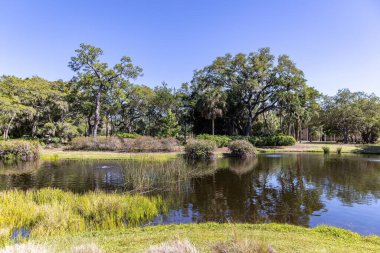 John ve Mable Ringling Sanat Müzesi Sarasota, Florida