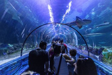 Orlando, Florida 'daki Deniz Dünyası eğlence parkı