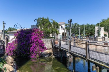 Orlando, Florida 'daki Deniz Dünyası eğlence parkı