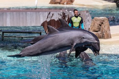Orlando, Florida 'daki Deniz Dünyası eğlence parkı