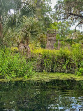 Florida 'daki Gümüş Bahar Gölleri