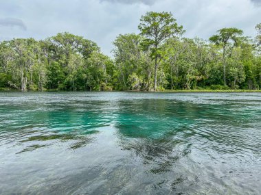 Florida 'daki Gümüş Bahar Gölleri