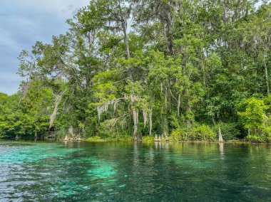 Florida 'daki Gümüş Bahar Gölleri