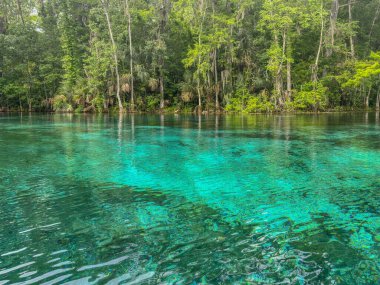 Florida 'daki Gümüş Bahar Gölleri
