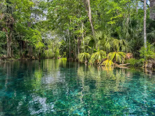 Florida 'daki Gümüş Bahar Gölleri