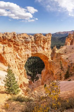 Utah 'taki Bryce Canyon Ulusal Parkı
