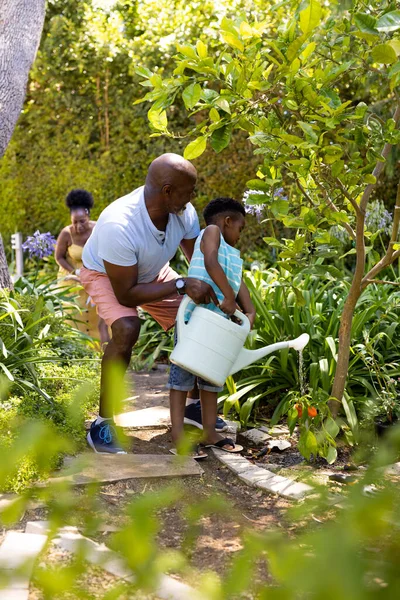 非洲裔美国人祖父和孙子在院子里种花时浇灌甜椒 不变的家庭 有机耕作和自然概念 — 图库照片