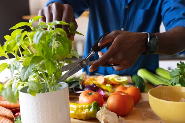 Midsection Homem Americano Africano Que Está Cozinha Cozinhar Jantar Passar — Fotografia de Stock
