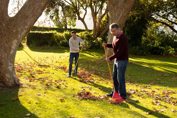 白人父亲和成年儿子在花园里刷叶的图像 家庭与共同度过美好时光的概念 — 图库照片