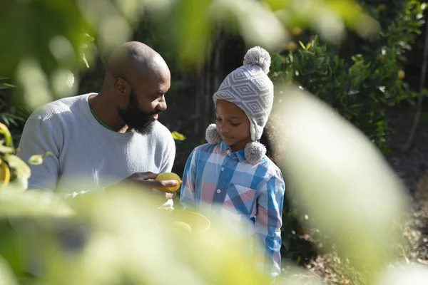 幸せなアフリカ系アメリカ人の父親と娘がレモンとボウルを保持するイメージ 家族と一緒に質の高い時間を過ごすコンセプト — ストック写真