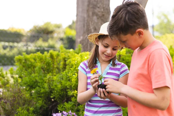 Kafkasyalı Çocuklar Bahçede Birlikte Vakit Geçirip Çiçek Dikiyorlar Ailece Dışarıda — Stok fotoğraf