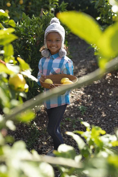 Vertikal Bild Lycklig Afrikansk Amerikansk Flicka Håller Skål Med Citroner — Stockfoto