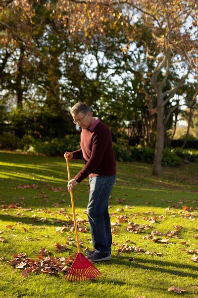 Vertical Image Caucasian Man Swiping Leaves Garden Lifestyle Autumn Spending — Stock Photo, Image