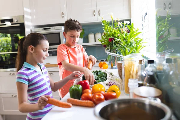 Modern Mutfakta Beyaz Çocuklar Alışveriş Çantalarını Birlikte Açıyorlar Evde Ailece — Stok fotoğraf