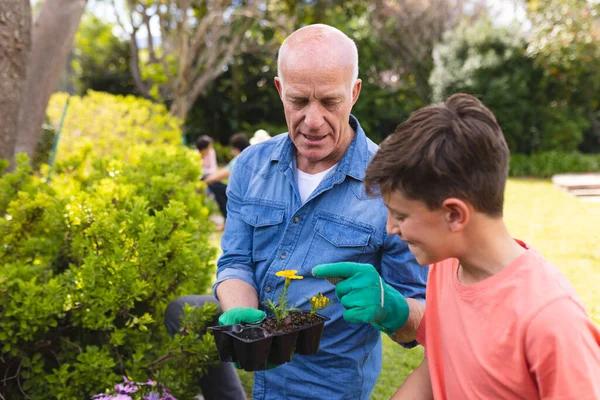 Caucasian grandfather and grandson spending time together in the garden, planting. Family time spending outside , garden, gardening, concept.