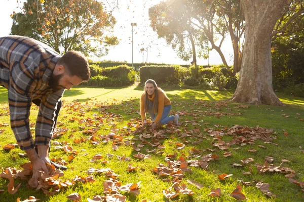 Счастливая Кавказская Пара Собирает Листья Солнечном Осеннем Саду Семейная Жизнь — стоковое фото