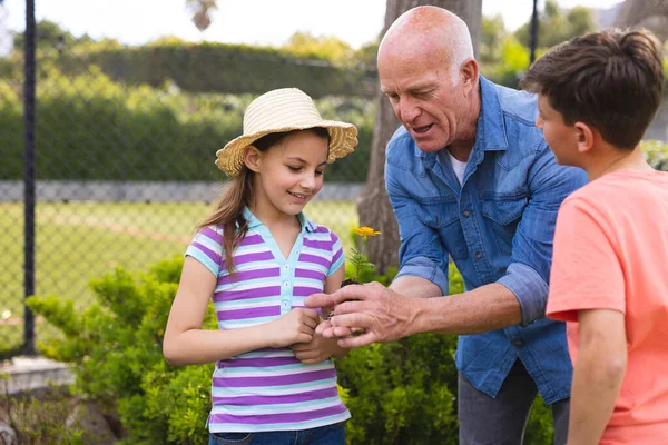 Bambini Caucasici Nonno Trascorrono Del Tempo Insieme Giardino Piantando Famiglia — Foto Stock