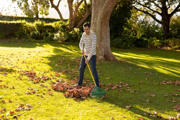 Image Happy Caucasian Man Swiping Leaves Garden Lifestyle Autumn Spending — Stock Photo, Image