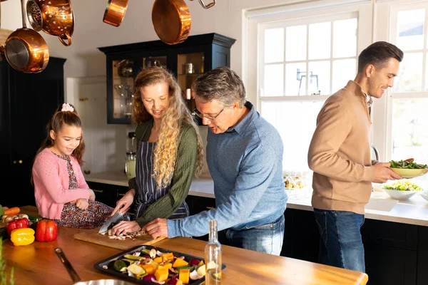 Obrázek Šťastné Vícegenerační Bělošské Rodiny Jak Spolu Připravují Večeři Koncept — Stock fotografie