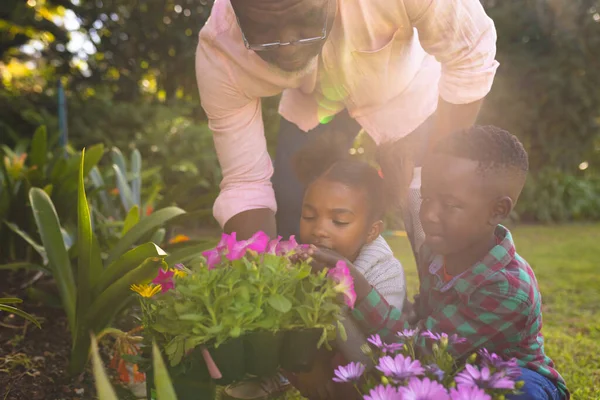 Happy African American Father Daughter Spending Time Together Planting Family — Stock Photo, Image