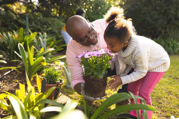 Afrikalı Amerikalı Baba Kız Bahçede Bahçede Birlikte Vakit Geçiriyorlar Aile — Stok fotoğraf