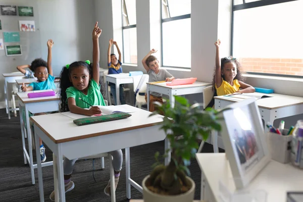 Multiracial Elementary School Students Hands Raised Sitting Desk Classroom Unaltered — Stock Photo, Image