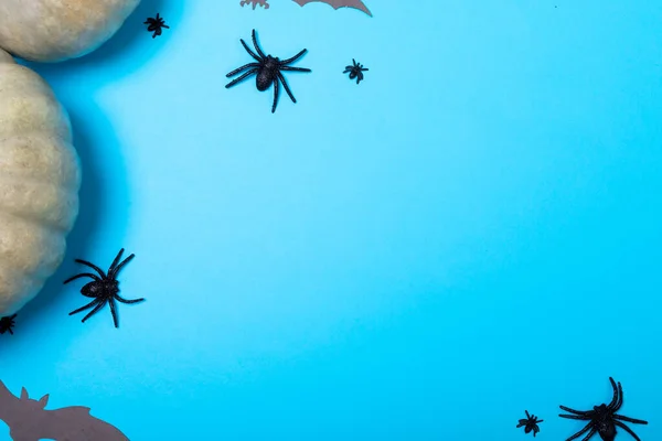 Zucche Ragni Multipli Pipistrelli Giocattoli Con Spazio Copia Sfondo Blu — Foto Stock