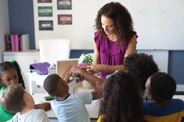 Biała Młoda Nauczycielka Pokazuje Model Mózgu Wielorasowym Uczniom Elementarnym Podczas — Zdjęcie stockowe