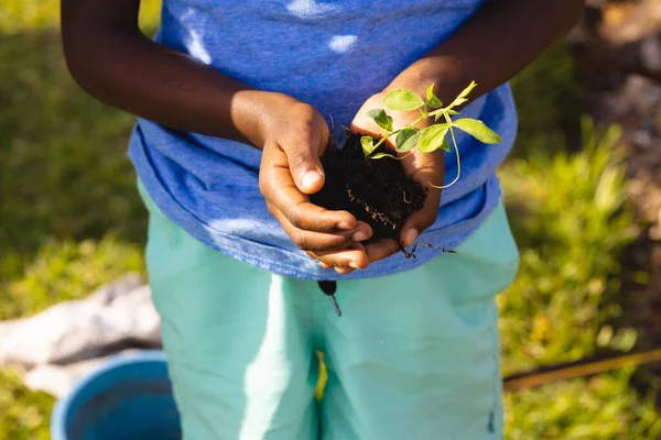Midsection Biracial Boy Holding Compost Sapling While Standing Yard Gardening — Stock Photo, Image