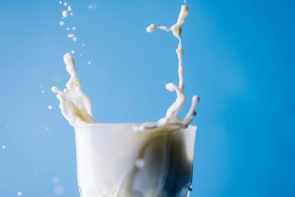 Närbild Spilld Mjölk Från Glas Mot Blå Bakgrund Kopiera Utrymme — Stockfoto