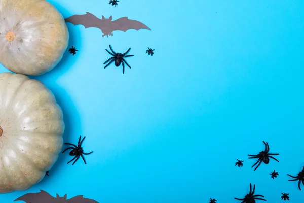 Balkabakları Çoklu Örümcek Yarasa Oyuncakları Mavi Arka Planda Kopya Alanı — Stok fotoğraf