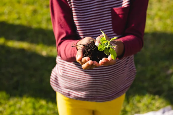 Midsection Biracial Girl Maroon Shirt Holding Compost Sapling While Standing — Stock Photo, Image