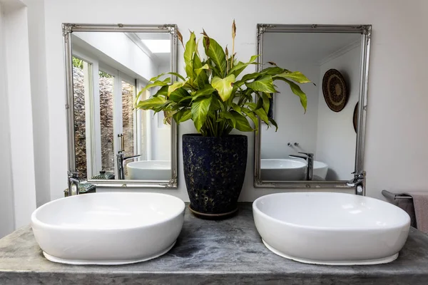 Zimmerpflanze Zwischen Zwei Spiegeln Und Waschbecken Modernen Badezimmer Hause Kopierraum — Stockfoto