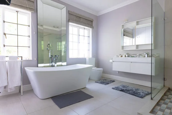 Banheira Livre Luxuoso Banheiro Moderno Casa Com Espaço Cópia Design — Fotografia de Stock