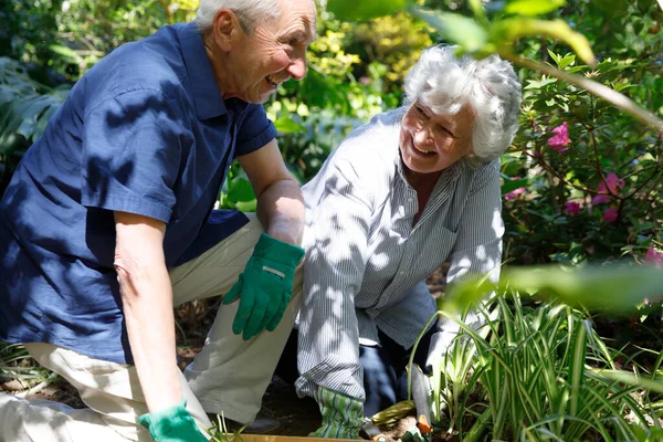 シニア白人夫婦は一緒に庭で時間を過ごし 苗を植え 笑顔を見せます コロナウイルスCovid 19隔離ロックダウン中に隔離 — ストック写真