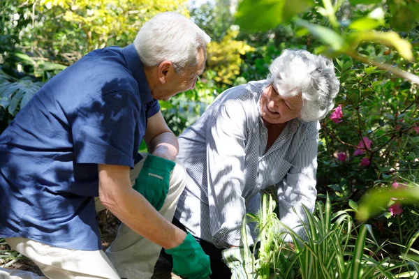 シニア白人夫婦は一緒に庭で時間を過ごし 苗を植え 笑顔を見せます コロナウイルスCovid 19隔離ロックダウン中に隔離 — ストック写真