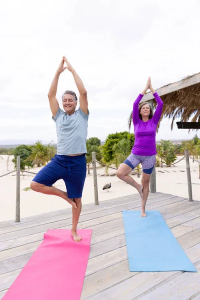 在旅游胜地的海滩上 白种人的老夫妇抱着胳膊练习树姿 坐在垫子上 不变的爱 共同的爱 健身和积极的生活方式 — 图库照片