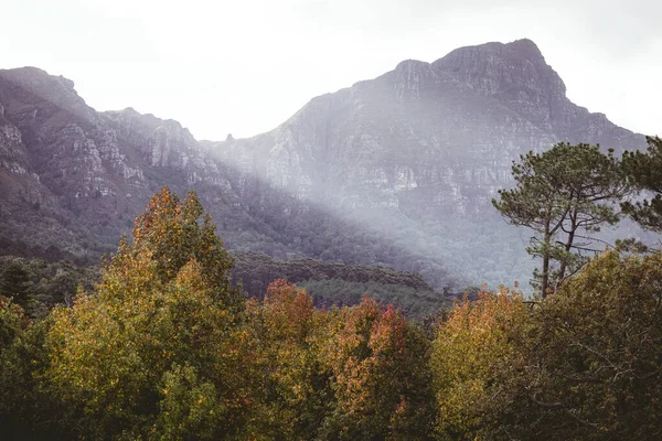 Paesaggio Con Montagne Rocciose Foresta Con Alberi Verdi Cielo Con — Foto Stock