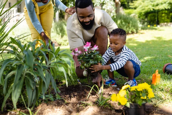 Mujer Afroamericana Pie Junto Padre Hijo Plantando Flores Frescas Campo —  Fotos de Stock