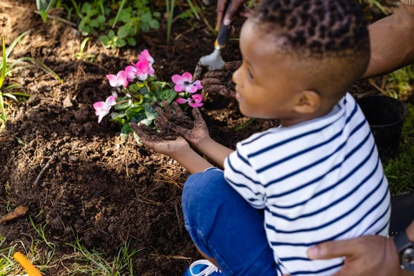 Afro Amerikan Çocuğun Bahçeye Çömelmiş Taze Pembe Çiçekler Dikerken Görüntüsü — Stok fotoğraf