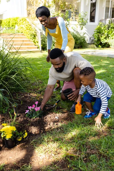 Madre Afroamericana Mirando Padre Hijo Plantando Flores Tierras Herbáceas Patio —  Fotos de Stock