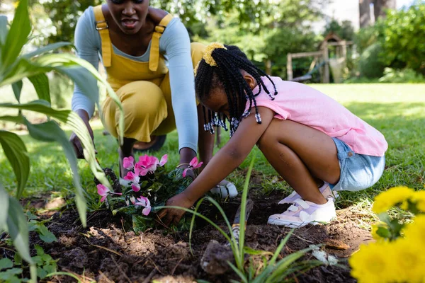 Afroamerykanska Matka Asystujaca Córce Sadzeniu Rózowych Kwiatow Brudzie Polu Podwórku — Zdjęcie stockowe