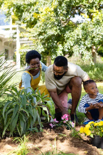 Padres Afroamericanos Con Hijo Plantando Flores Frescas Campo Contra Árboles —  Fotos de Stock