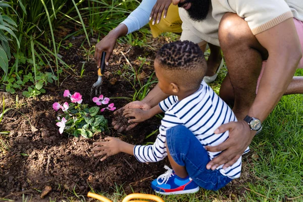 Vista Ángulo Alto Madre Padre Afroamericanos Con Hijo Plantando Flores —  Fotos de Stock