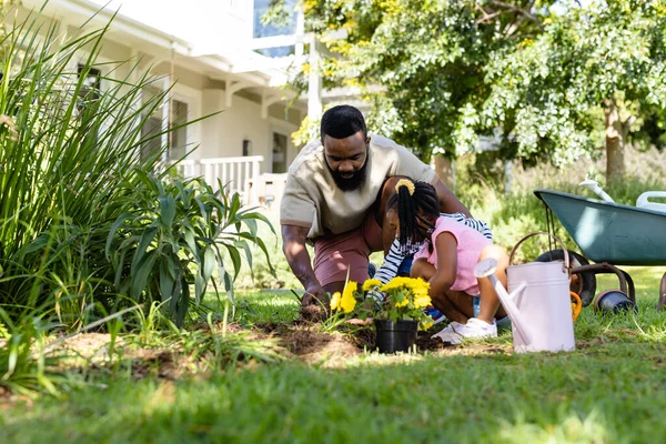 Padre Afroamericano Plantando Flores Con Hija Hijo Campo Patio Trasero —  Fotos de Stock
